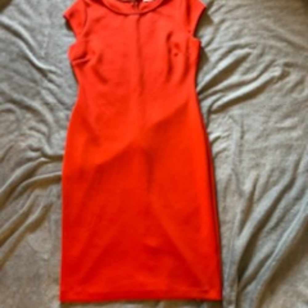 Orange New York & Company Stretch Dress